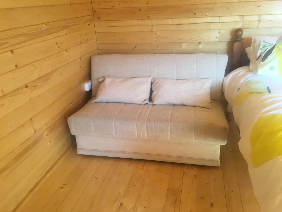 Pensjonat Woodingdean Lodge And Rooms Okręg wyborczy Hove Wielka Brytania